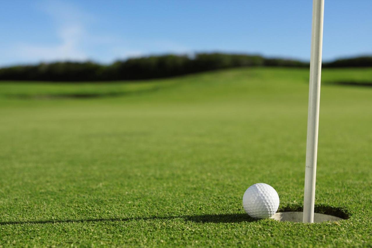 golf-ball-near-hole